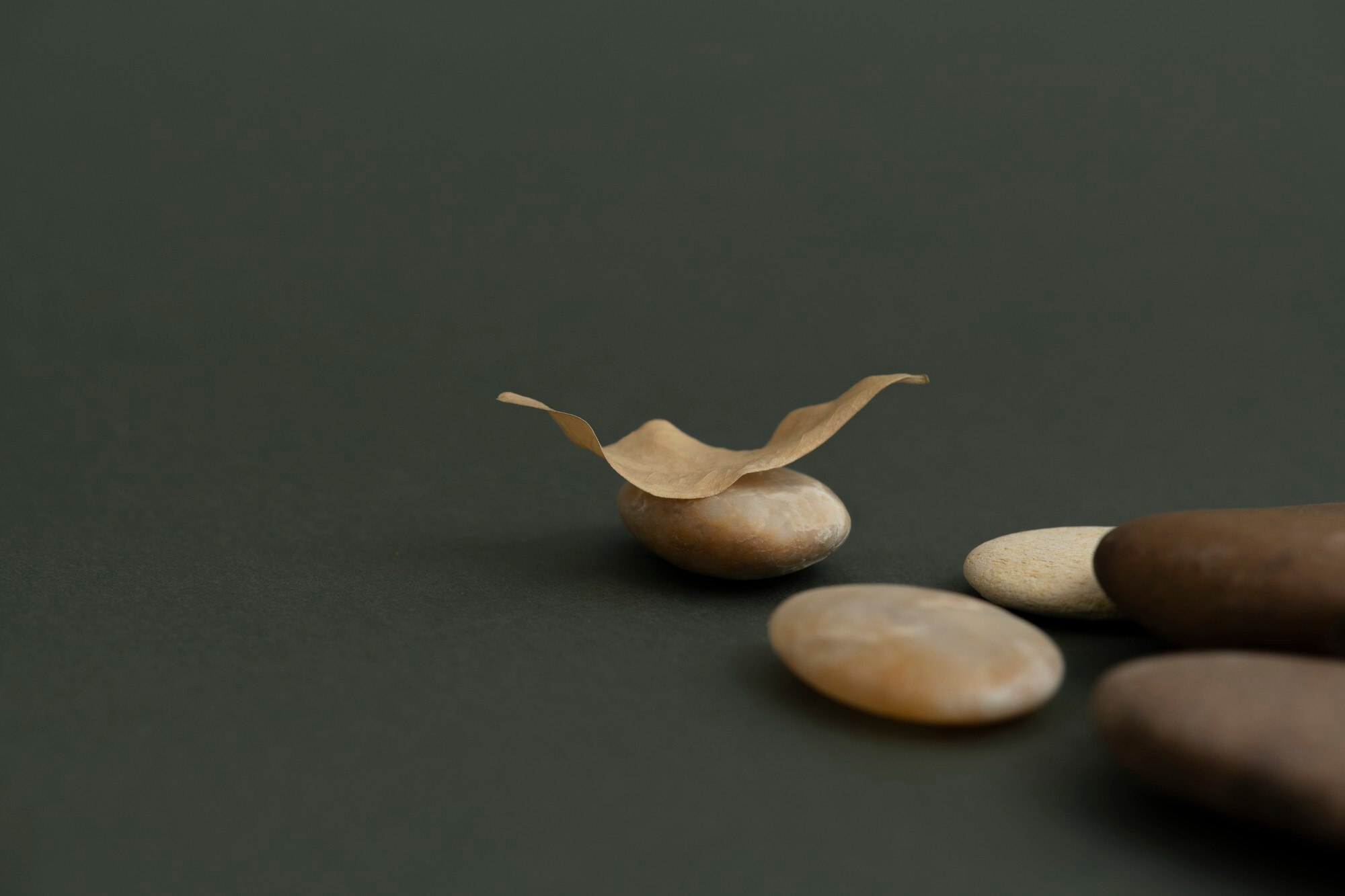 Minimalist Wellbeing